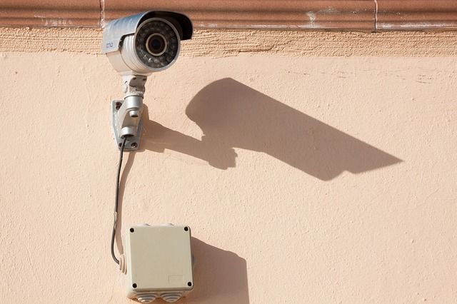 Tipos de cámaras de seguridad (ocultas o no) que existen
